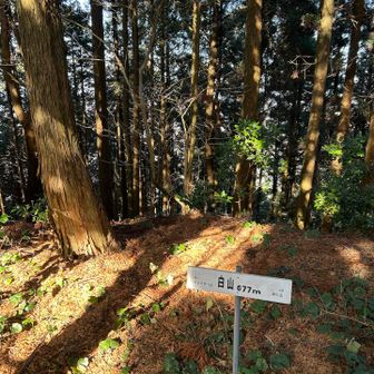 白山到着。ここも一応ピーク