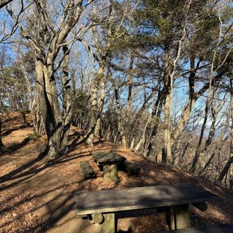 ベンチが整備されていて休憩しやすい