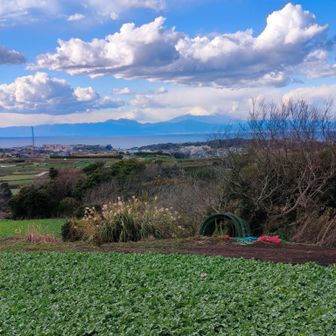 ３分で山頂着いた！！宮川公園から約20分だよ。