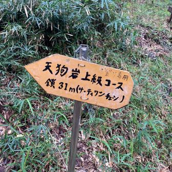 初めてこっちに行ってみました