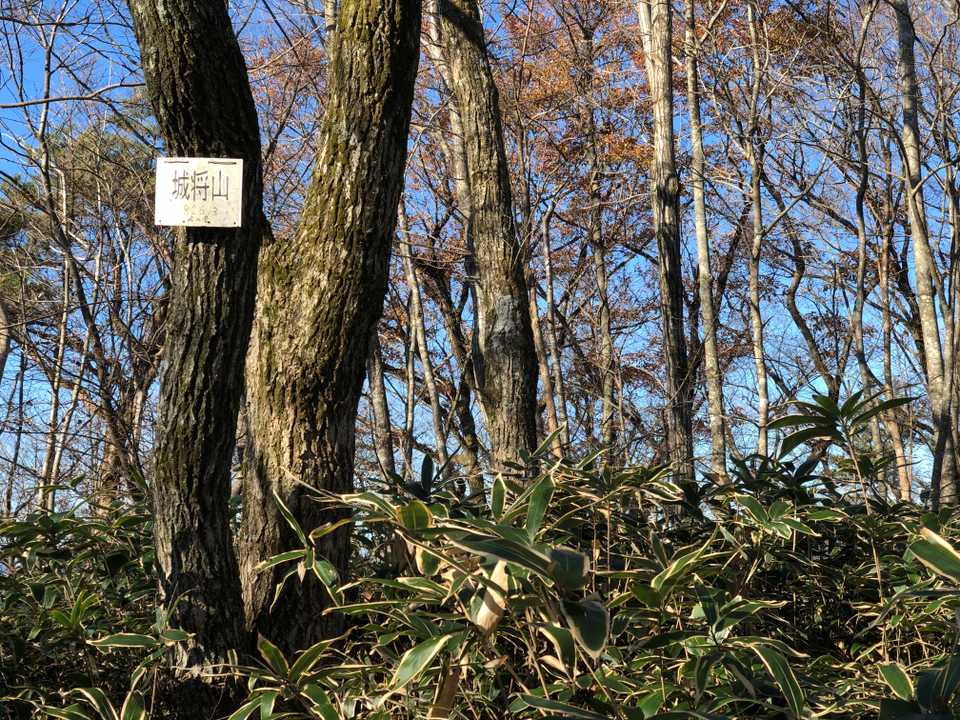 羨望は木の隙間から少しだけですが、山頂の雰囲気は好みでした。