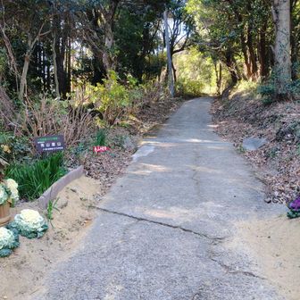 先山ｾﾝｻﾞﾝ⛰️登山口③

千光寺ｾﾝｺｳｼﾞの入口（❓️）も
兼ねてなのか❓️
http://www.awaji-13butsu.com/
お正月ということもあってか…
門松🎍が飾ってある❗😀