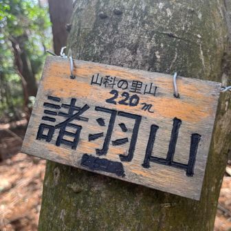 大文字山・如意ヶ嶽・稲荷山 諸羽山山頂の展望は良くない。