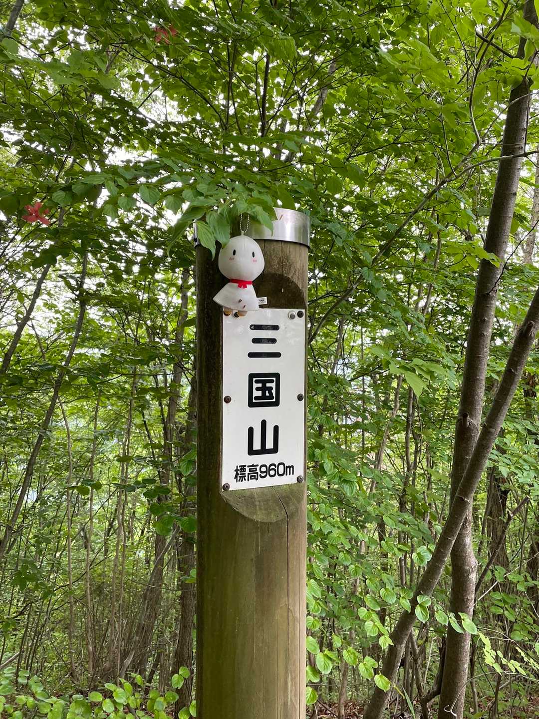 山友さんのてるてる坊主😇