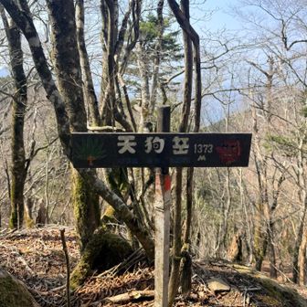 誰にも会わず…