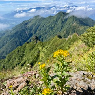 編笠山、権現岳、ギボシ、ツルネの方