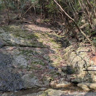 滝に戻ってきました。