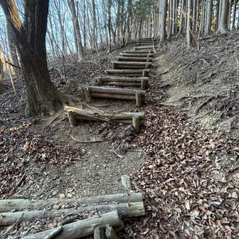 今回は右折して未踏のルートへ