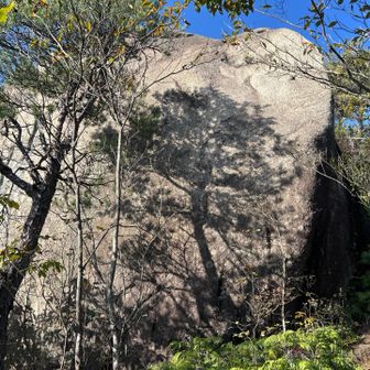 登ってきて足が疲れたころに巨岩。