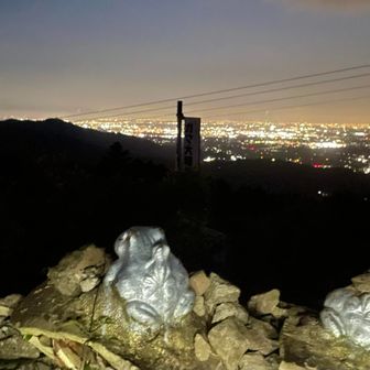 無事に下山🥳

おやすみなさいませ💤🐸🌕