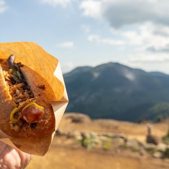 COFFEE CAMPで購入した高級ホットドッグ。
これ、1,000円越えw
美味しかったけどね。
バンズはフランスパンみたいで食いちぎるのに顎使った。
