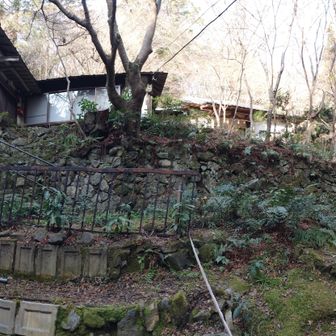 祐泉寺
パノラマ写真