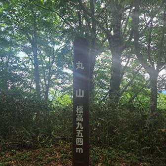 この先、迷い道あり
写真なくてごめんなさい