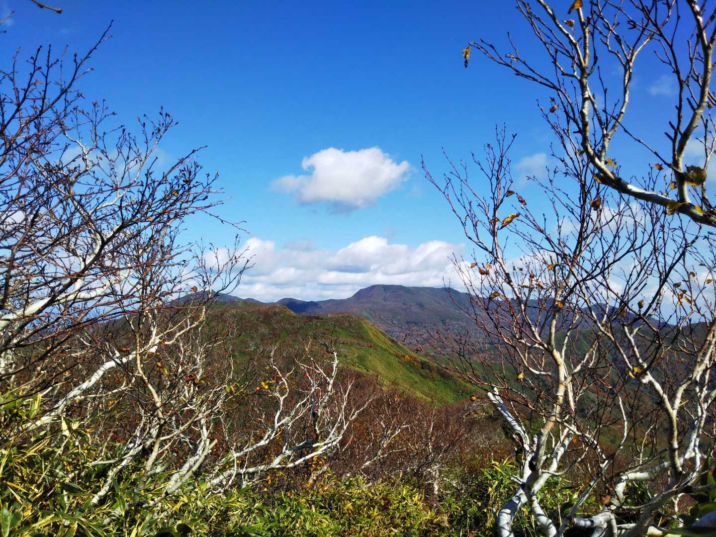 白泉岳-中白水岳 往復コースの写真