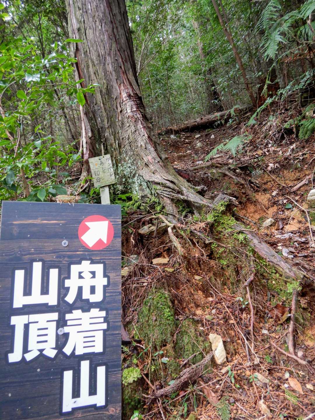 3回目の林道に出て、左に行くと登山道があります。「舟」着山？
「ガンバレあと10分」と控えめな応援。🚩😃🚩