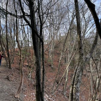 山頂はもう目の前💪