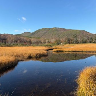 池塘の素敵さ