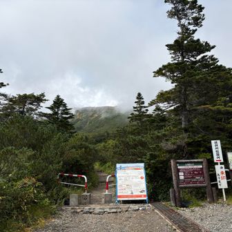 登山口まで降りました