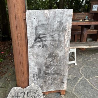 あれ？可愛いうさぎ🐇のお人形さん達がいなくなってる❗️ 撤去された⁉️結構好きだったのになー😢