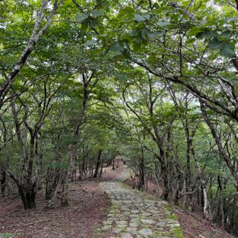 龍神岳へ。