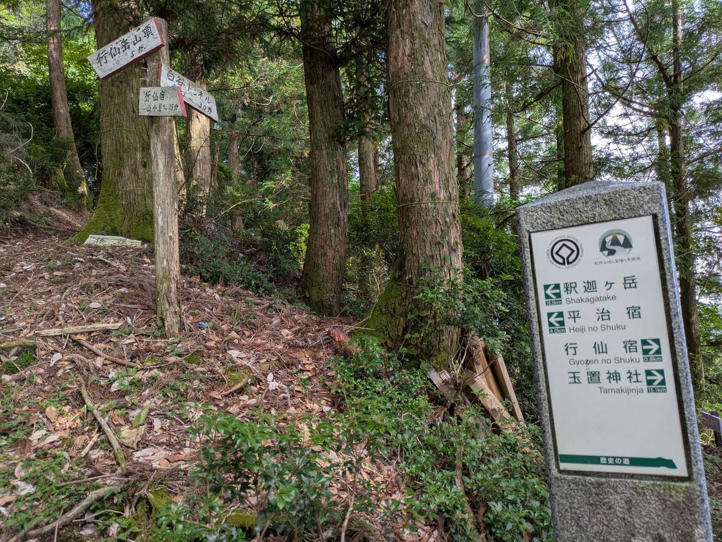 行仙岳-笠捨越-笠捨山 周回コースの写真
