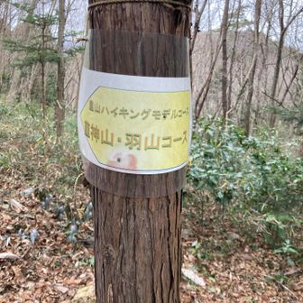 コース案内は多数あり。