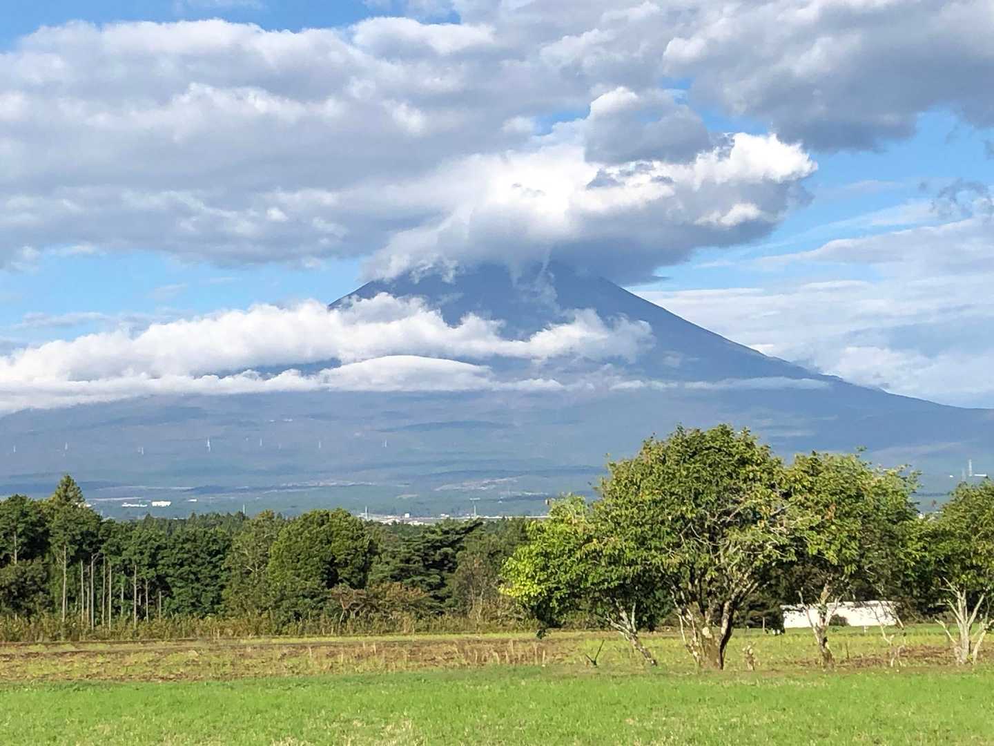 富士山🗻は雲の中。
今日見えたのは、ここだけ。