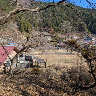 戻って来ました