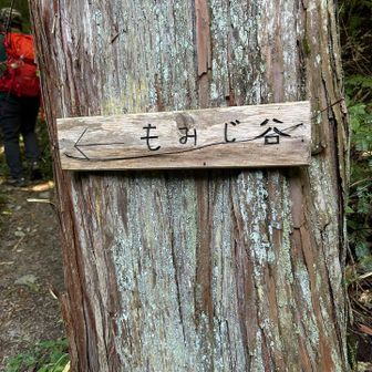 もみじ谷へ⤴️