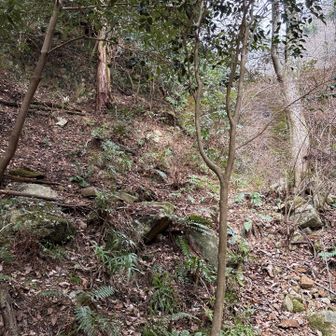 六甲山・長峰山・摩耶山 左側⬅️を巻く