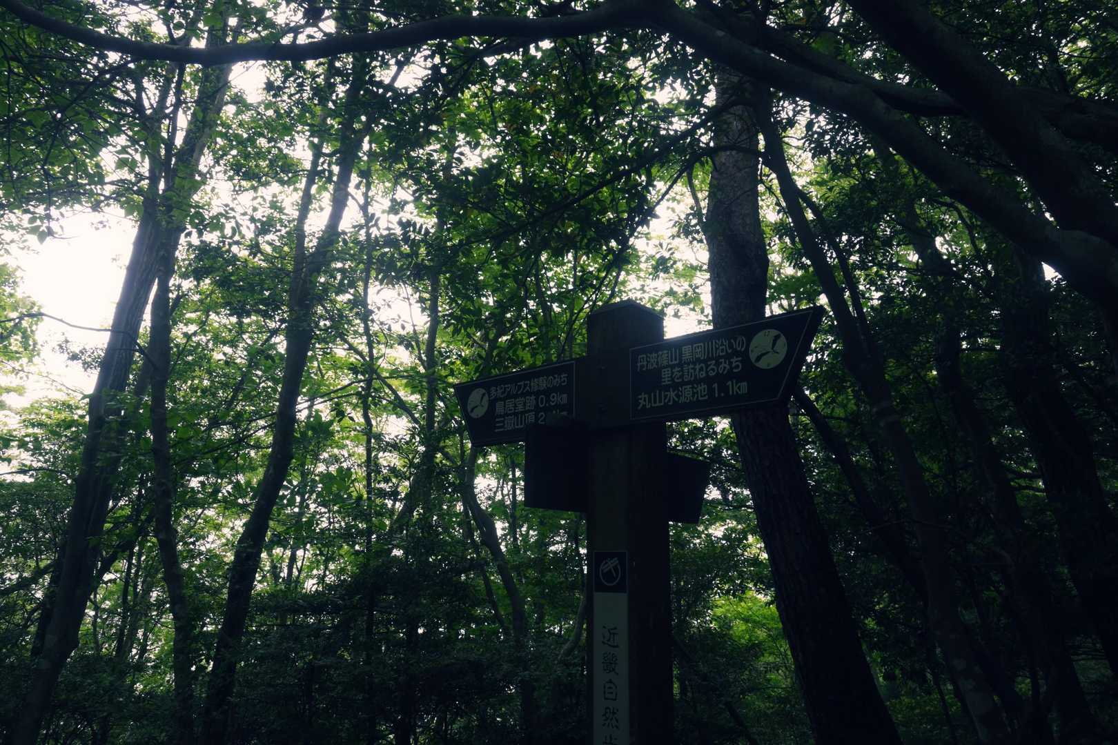 2年ぶりの多紀連山。