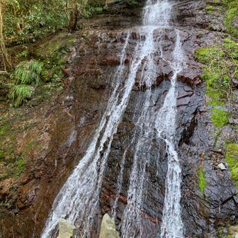 アンノ滝　水少なっ！