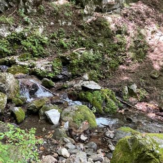 渡渉しますー水が少なくてよかったﾎｯ

これから先が難所でした
岩岩ゴロゴロでピンテも少なく、何度も「どっちー？」ってなり困っていたら・・・
大普賢岳から先、誰一人としてハイカーさんにはお会いしなかったのにーーー
何かが(何？)ハイカーさんを連れてきてくれたw2人も！(私の後ろを歩いて来ただけですけどねw)