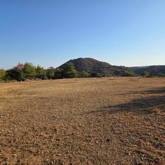 ヘリポート広場
月、水、金の昼前くらいに来ると消防ヘリの降下訓練が見れるかも