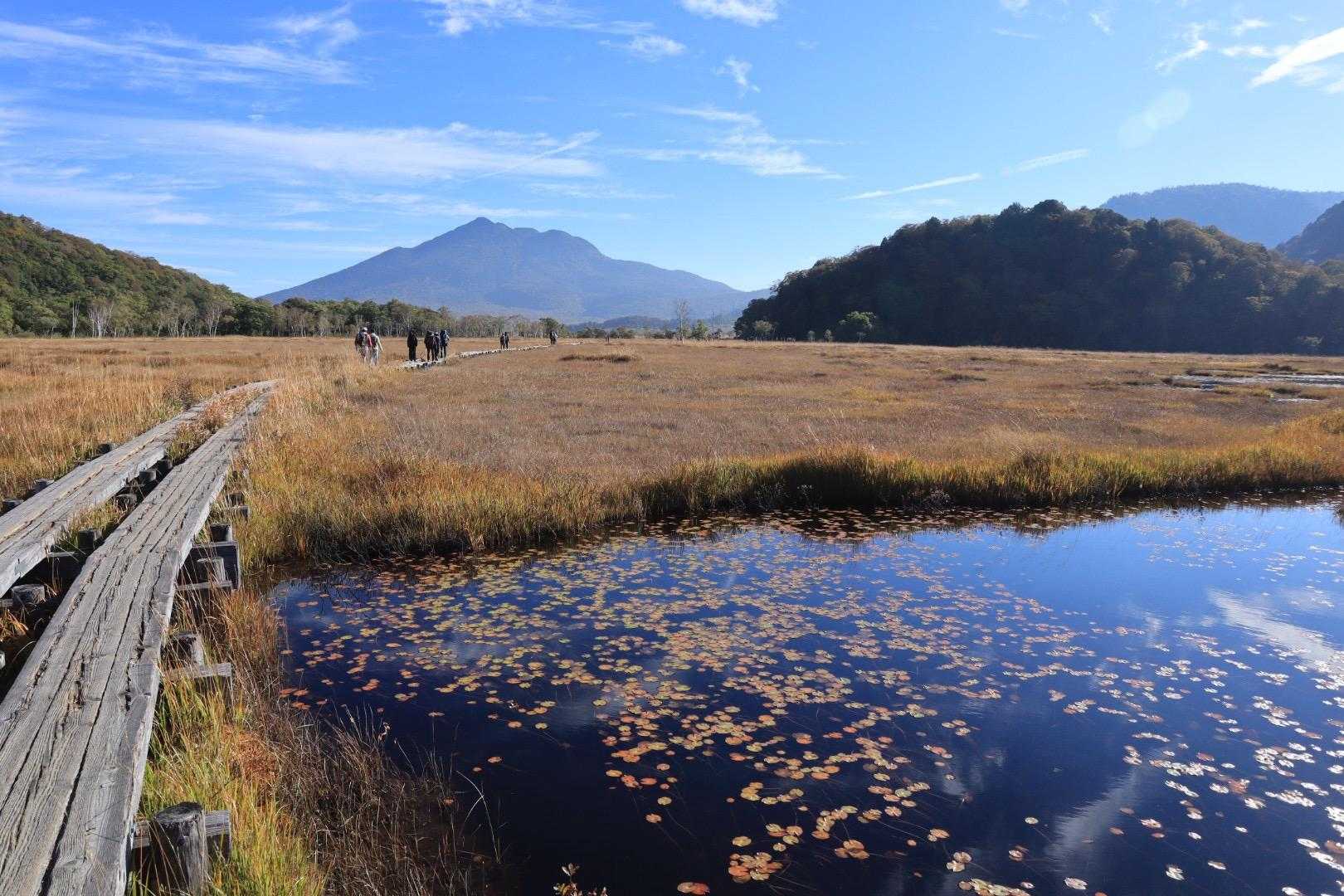 鳩待峠-見晴 往復コースの写真