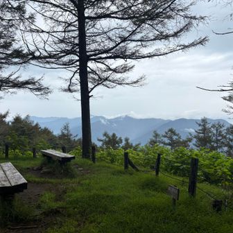 御前山山頂。眺めよし。
平日のためか貸切（この日は山行中誰にも出会わない完ソロでした）
小雨が降っていましたがカラマツでなんとなく避けながらご飯
