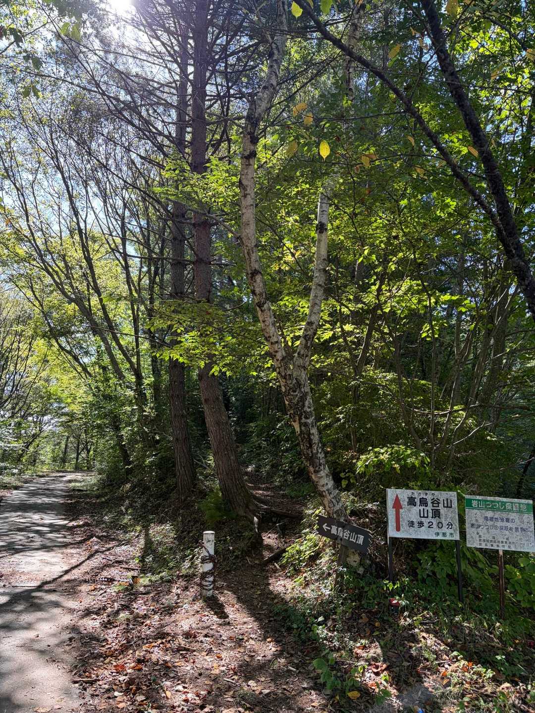 さて、山頂に行くか〜と思っていたら軽トラが3台くらいやってきて作業の方達が降りてきました。
なんでしょうね、この登ってきたと思ったら車で来れるんや？みたいなガッカリ感😅
