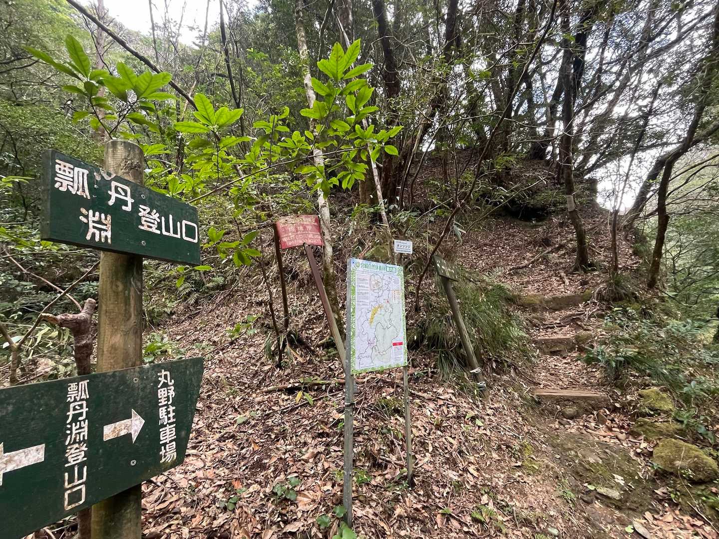 やっぱ登らないとね😂
もう一度渓谷を歩いて石炭山へ⬆️
２度目のヤマップ起動❗️
