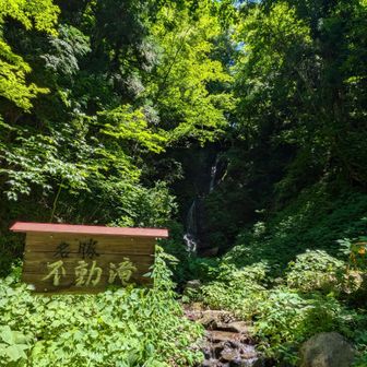 すぐ近くなので不動滝を見に