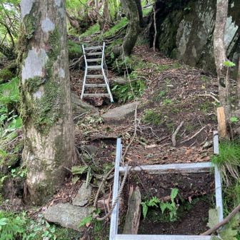 最後らへんの激登りにハシゴあり。