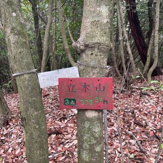 すぐに立木山ピーク