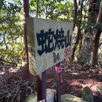 蛇焼山🐍を経由して