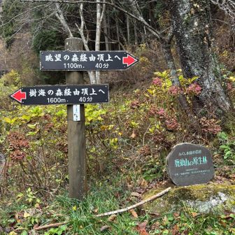 上りは『眺望の森』経由で