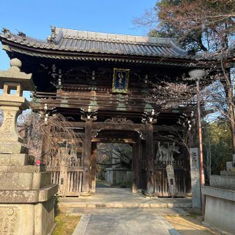 山門ぬけて☘️