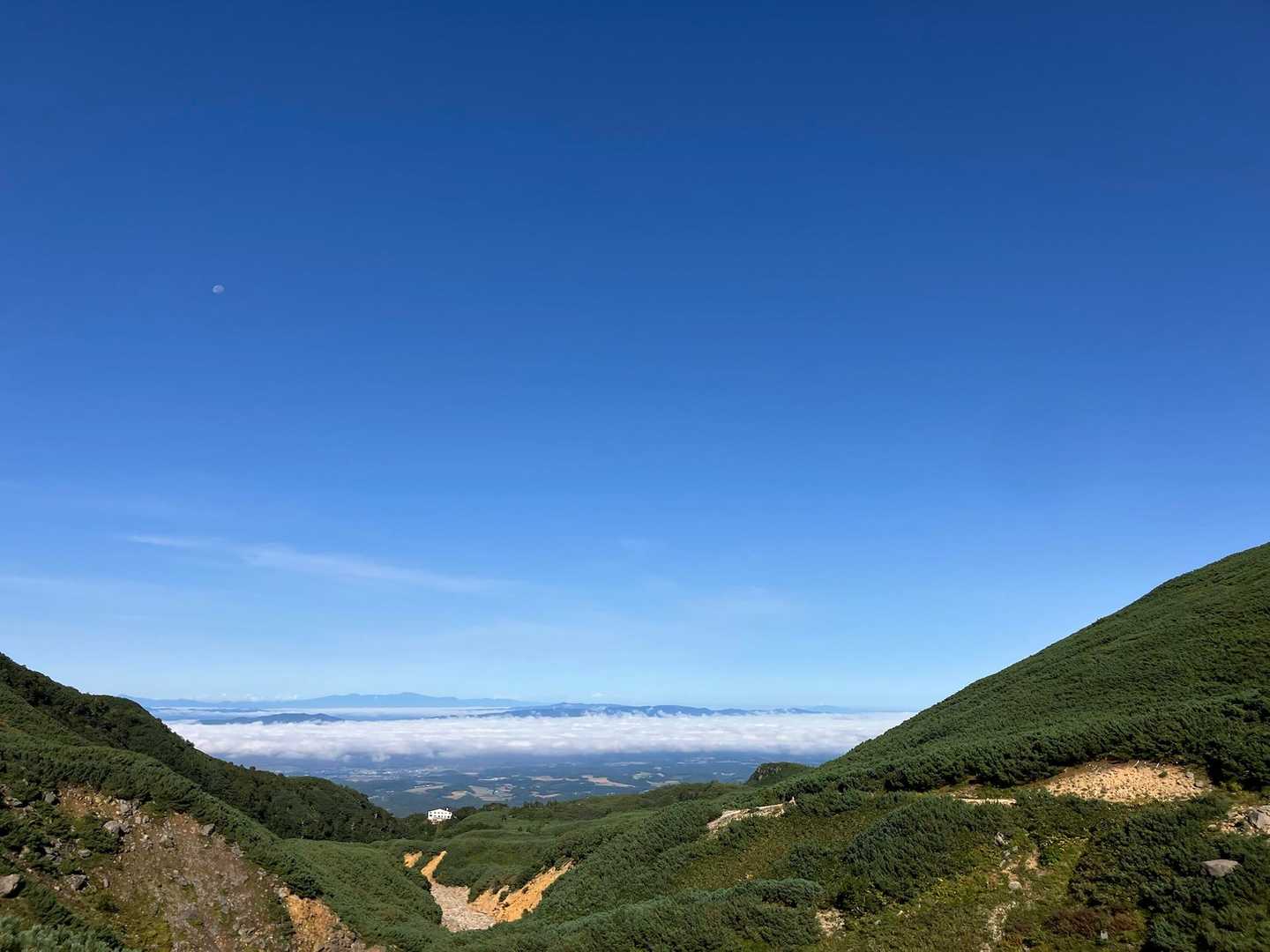 少し登ると早速雲海！
