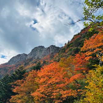 行きは真っ暗だったので、帰りも良い感じ