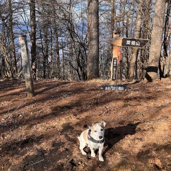 途中すごい風に心が折れそうになったけどなんとか辿り着きました