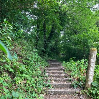夏山登山道入口。