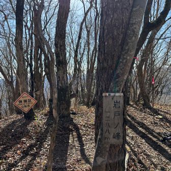岩戸ノ峰
ここでお昼休憩🍙☕️
出発しようとしたら手袋ないない事件発生
どこにもないから諦めてリュックを背負ったら背中に違和感、いつのまにかリュックの背中部分に挟んでいたようだ🤣💦