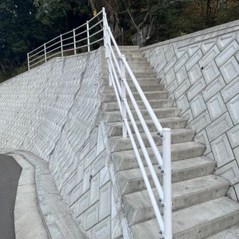 トレイルに入る道はいくつかあるみたいでトレイルへ入れそうな場所が沢山‼️ 私はヤマップ実線になっている登山口からはいります。